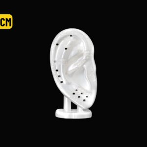 EXPOSITOR ORELHA C/ MAPA AURICULAR BRANCO - 10CM