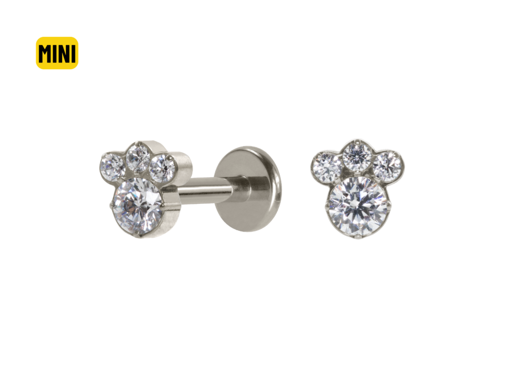 LABRET TITÂNIO R/I PATINHA MINI