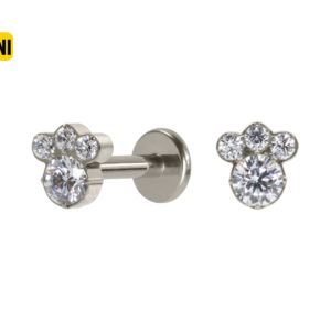 LABRET TITÂNIO R/I PATINHA MINI