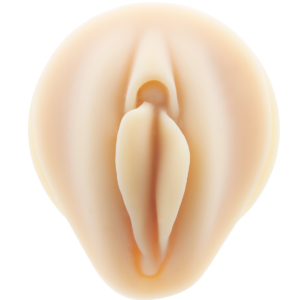 GENITAL FEMININO C/ SUPORTE TRANSPARENTE