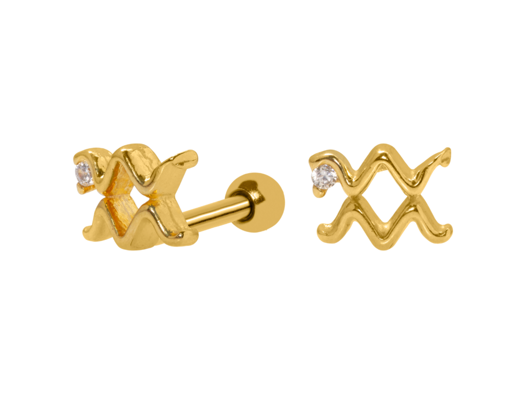 MICRO RETO SIGNO ÁQUARIO - BANHADO A OURO