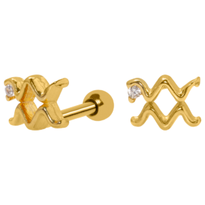MICRO RETO SIGNO ÁQUARIO - BANHADO A OURO