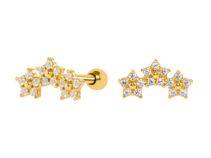 MICRO RETO CLUSTER 3 FLORES C239 – BANHADO A OURO
