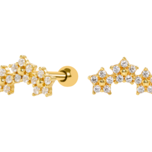 MICRO RETO CLUSTER 3 FLORES C239 - BANHADO A OURO