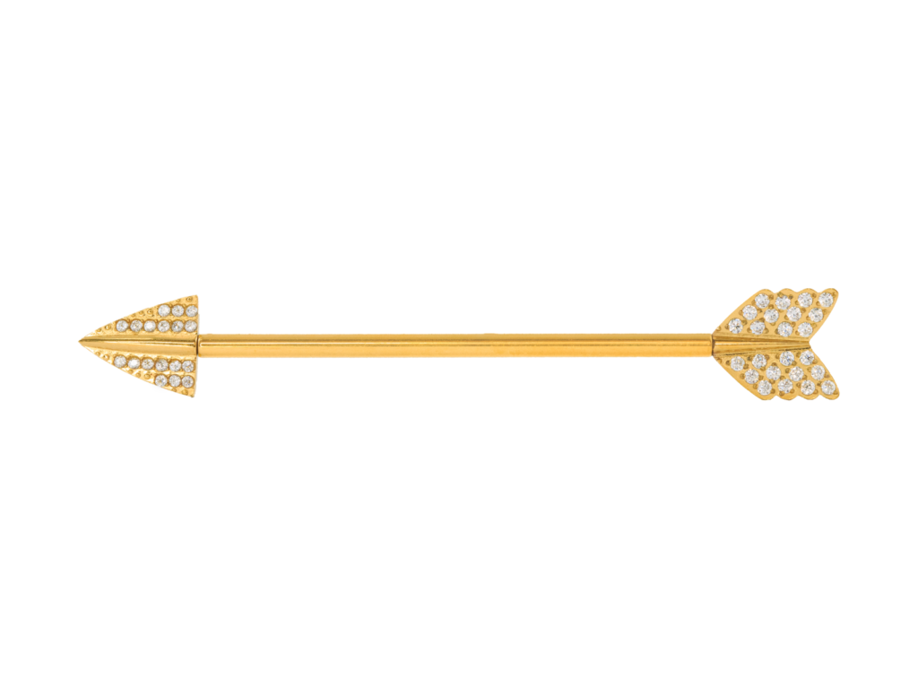 TRANSVERSAL TITANIO R/I PVD GOLD FLECHA CRAVEJADA - 1.6 X 34MM
