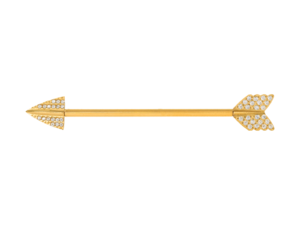 TRANSVERSAL TITANIO R/I PVD GOLD FLECHA CRAVEJADA – 1.6 X 34MM