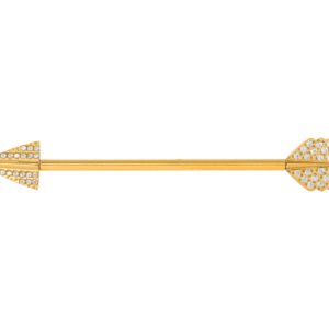 TRANSVERSAL TITANIO R/I PVD GOLD FLECHA CRAVEJADA - 1.6 X 34MM