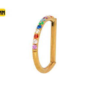 SEGMENTO CLICKER TITÂNIO PVD GOLD OPEN D MULTI COLOR - 10MM