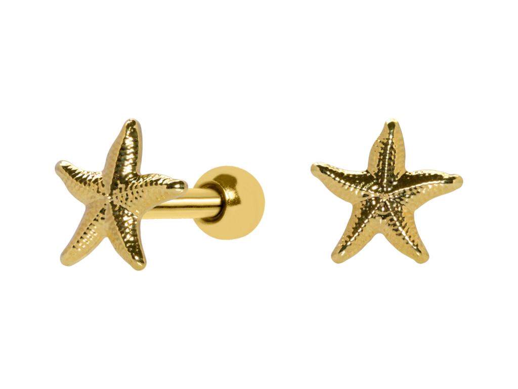 MICRO RETO ESTRELA DO MAR - BANHADO A OURO