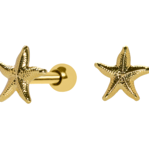 MICRO RETO ESTRELA DO MAR - BANHADO A OURO