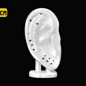 EXPOSITOR ORELHA C/ MAPA AURICULAR BRANCO - 15CM