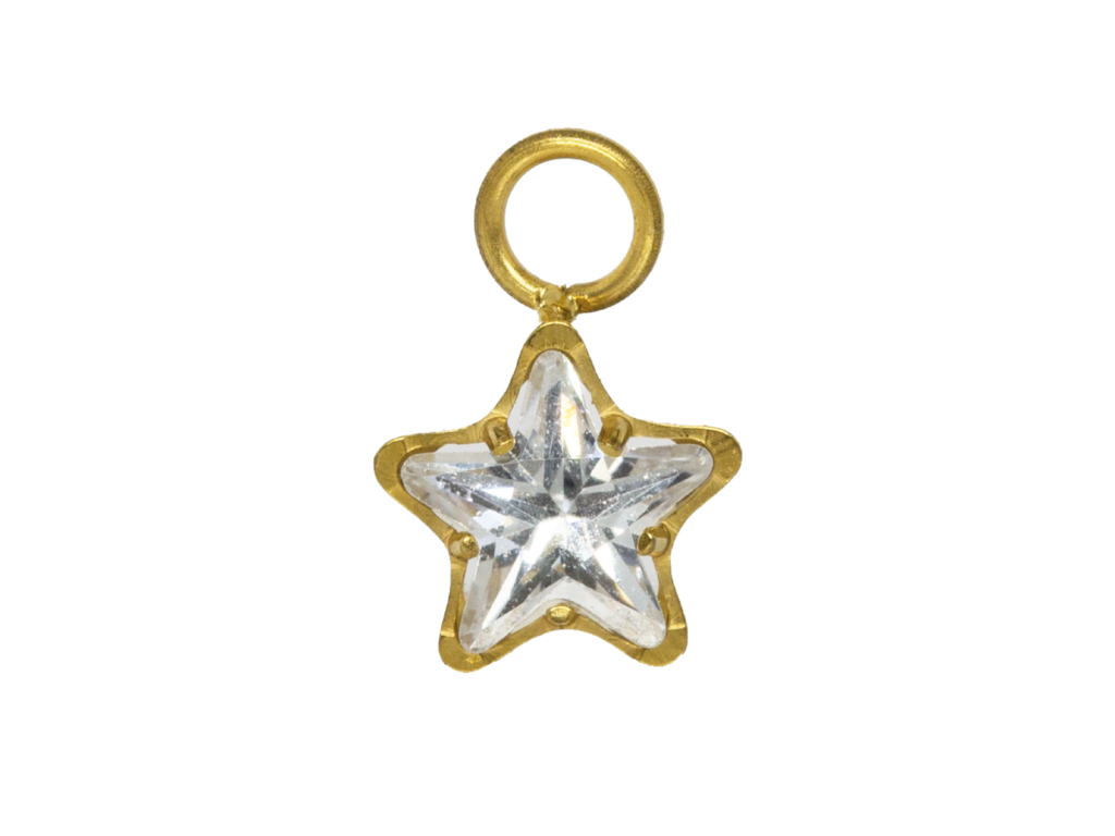 PINGENTE AVULSO TITÂNIO PVD ESTRELA C/ ZIRCÔNIA - 5/5MM