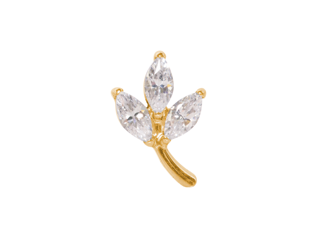 TOPO TITÂNIO PVD 0.9 (1.2MM) - RAMO C/ ZIRCÔNIA