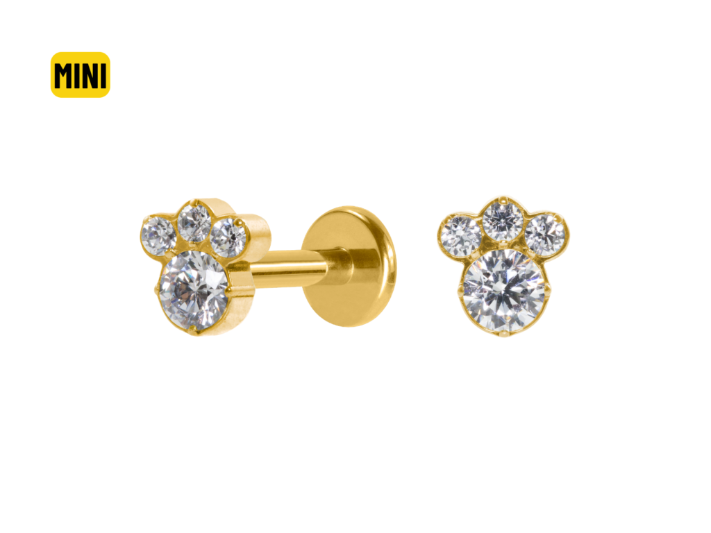 LABRET TITÂNIO PVD R/I PATINHA MINI