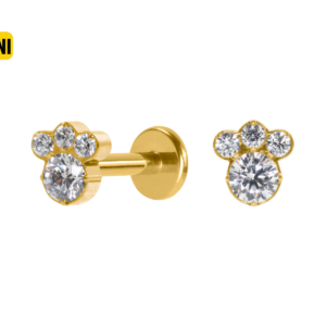 LABRET TITÂNIO PVD R/I PATINHA MINI