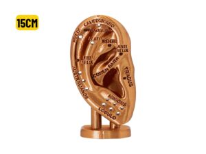 EXPOSITOR ORELHA C/ MAPA AURICULAR BRONZE – 15CM