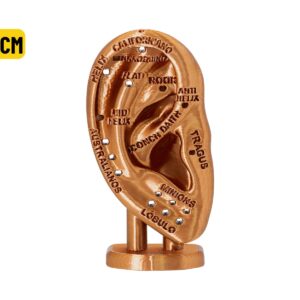 EXPOSITOR ORELHA C/ MAPA AURICULAR BRONZE - 15CM