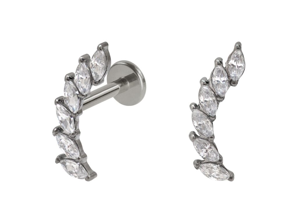 LABRET TITÂNIO PUSH PIN CLUSTER 6 PETÁLAS